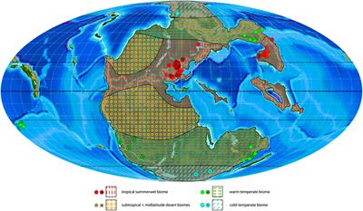 Palaeophytogeographical Patterns Across the Permian–Triassic Boundary